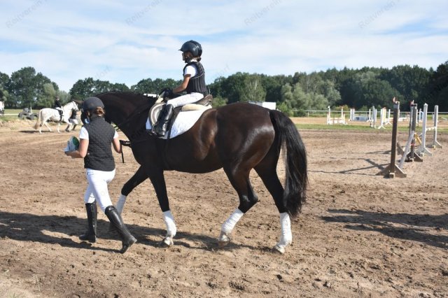 09-28-15_turnier bohm 24.07.2016  139